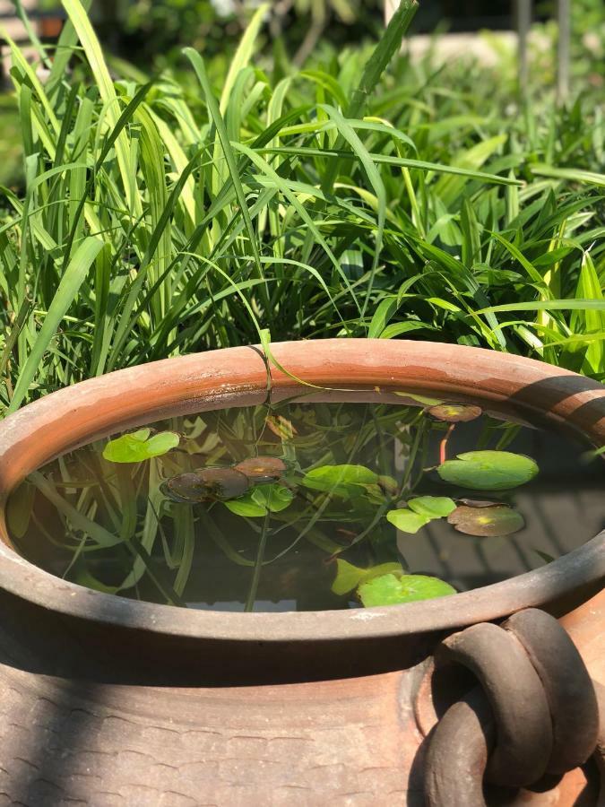 Barbe La Maison 华欣 外观 照片